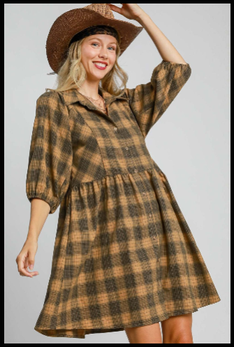 Plaid Button Front Collared Neck Mini Shirt Dress Plus Size