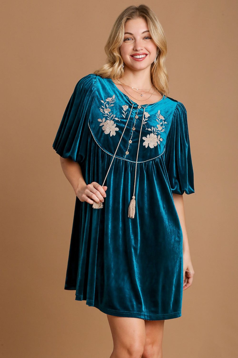 embroidered half sleeve velvet mini dress