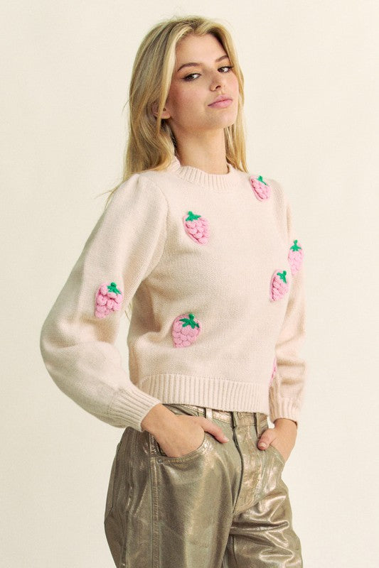 Davi & Dani Crochet Strawberry Round Neck Sweater